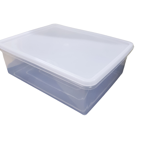 Rectangular Plastic Container with Lid for storage