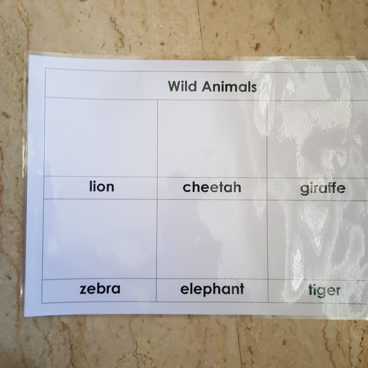 Right To Learn -  Classification - Wild Animals with cards