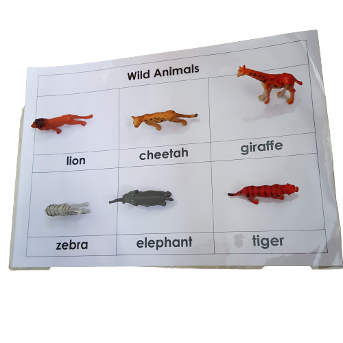 Right To Learn -  Classification - Wild Animals with cards