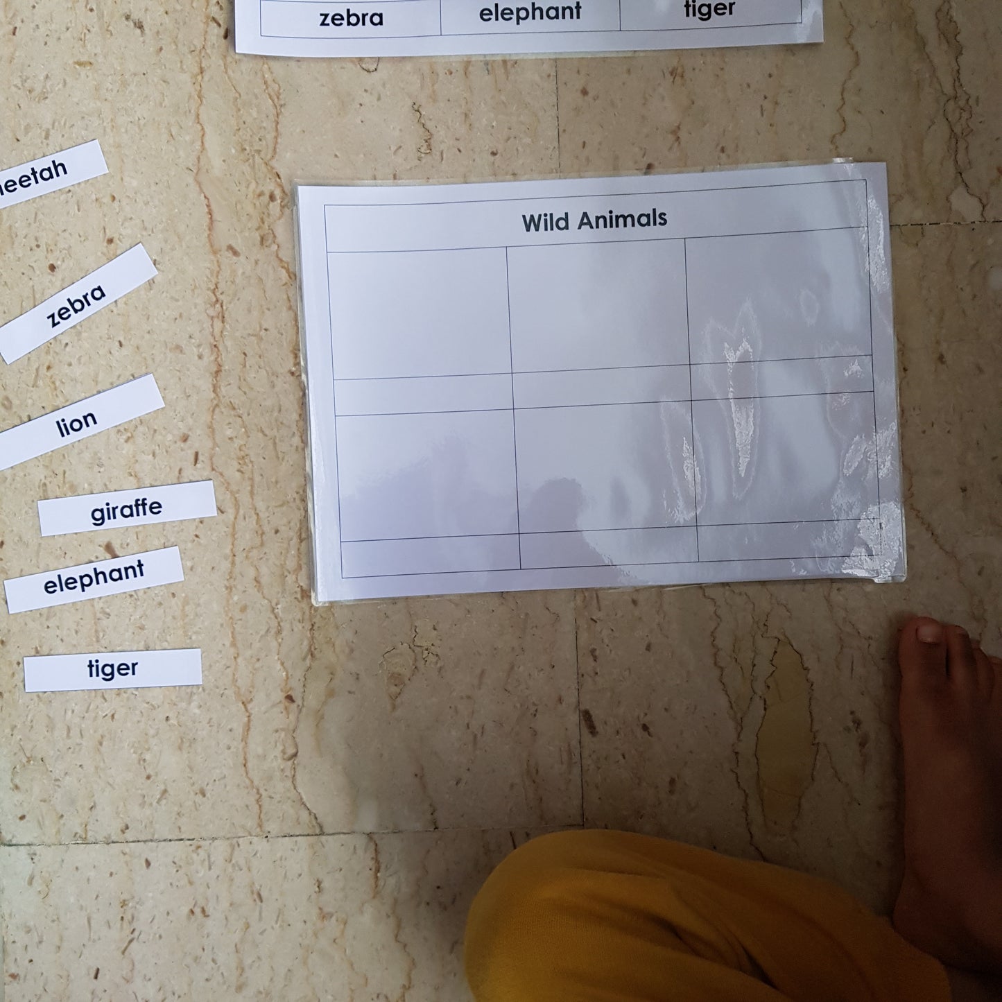 Right To Learn -  Classification - Wild Animals with cards