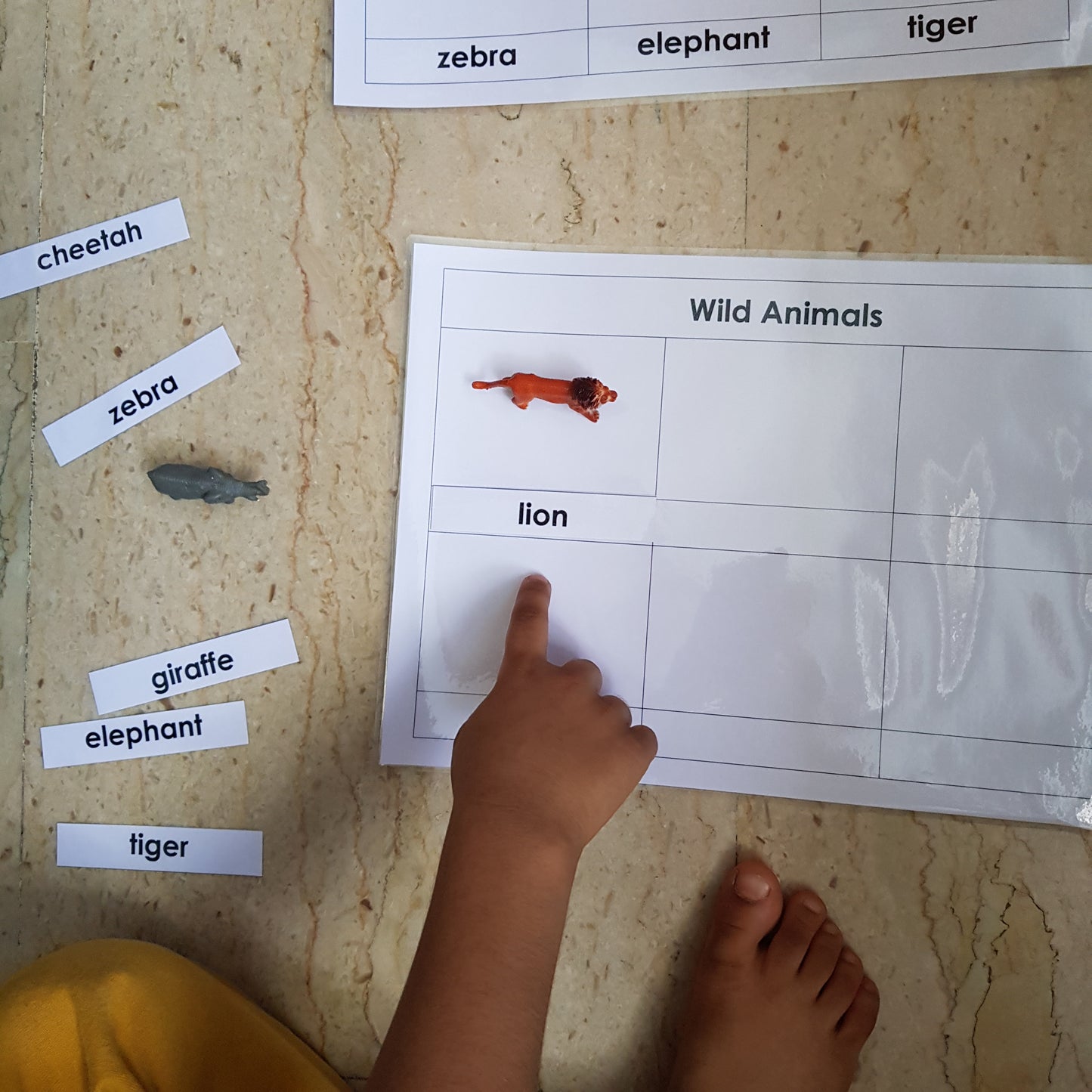 Right To Learn -  Classification - Wild Animals with cards