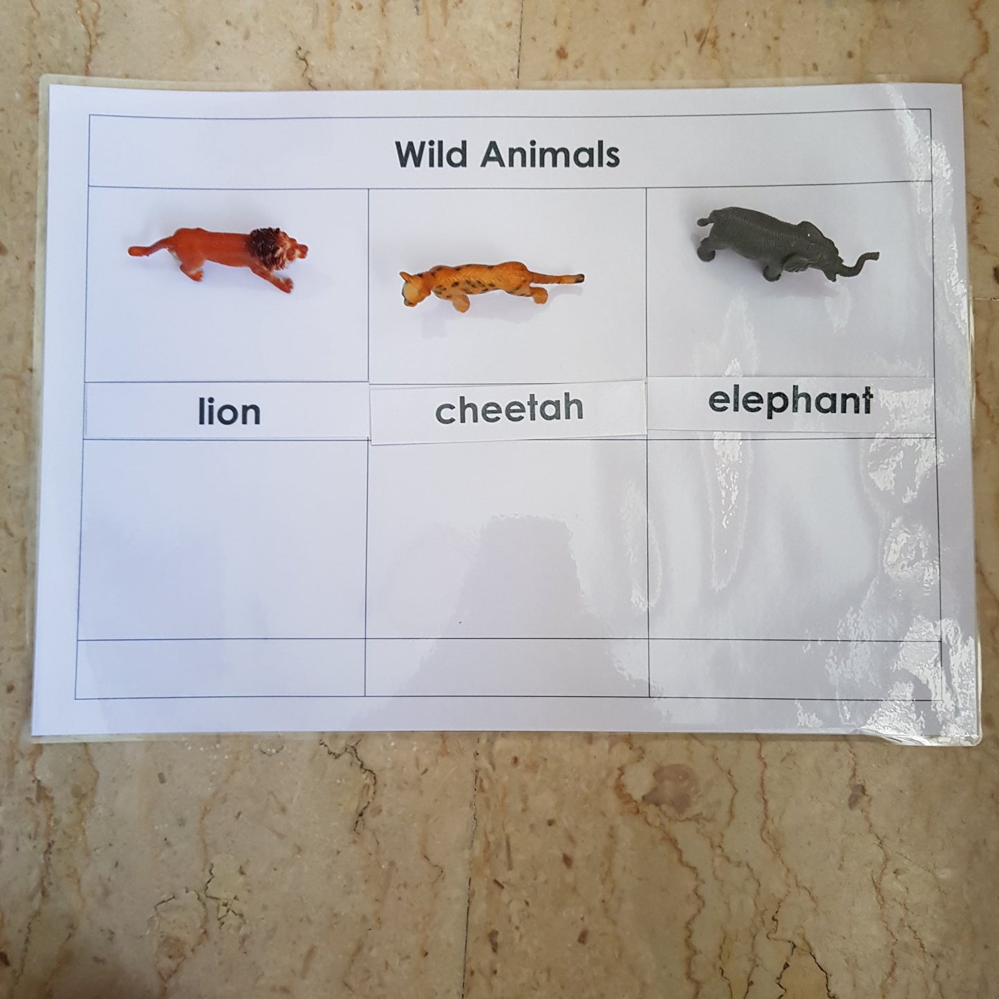 Right To Learn -  Classification - Wild Animals with cards