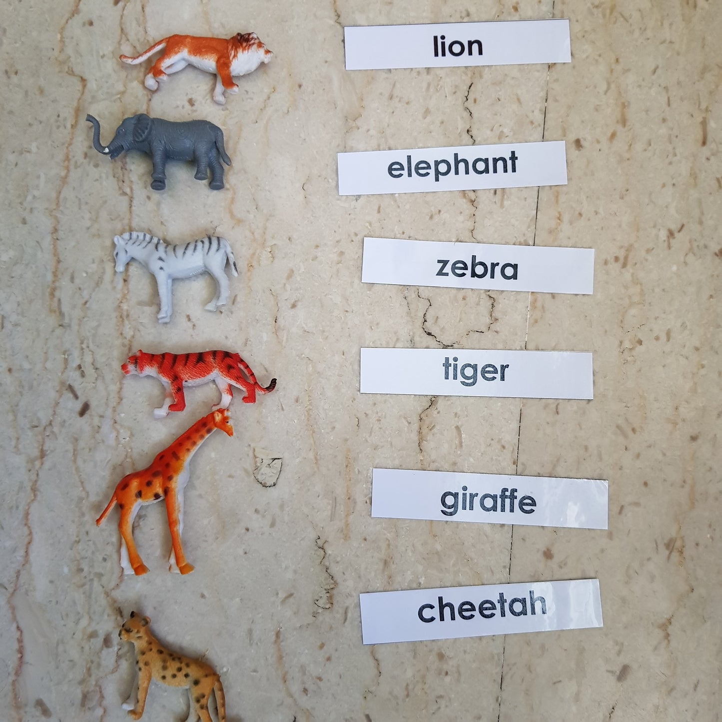 Right To Learn -  Classification - Wild Animals with cards