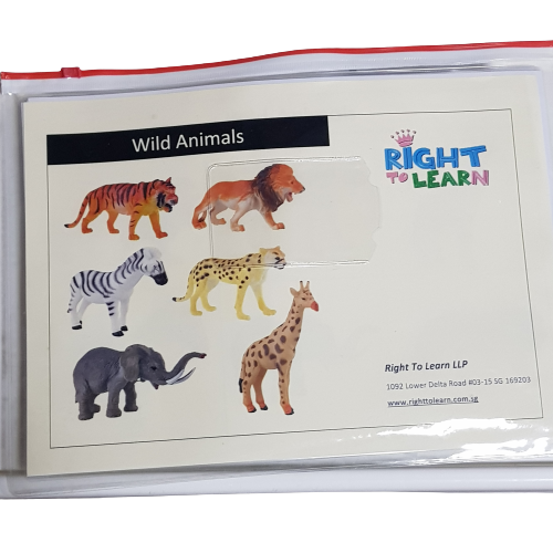 Right To Learn -  Classification - Wild Animals with cards