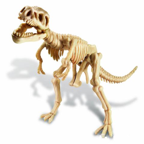 4M - KidzLab - Dig a Dinosaur Skeleton - T-Rex