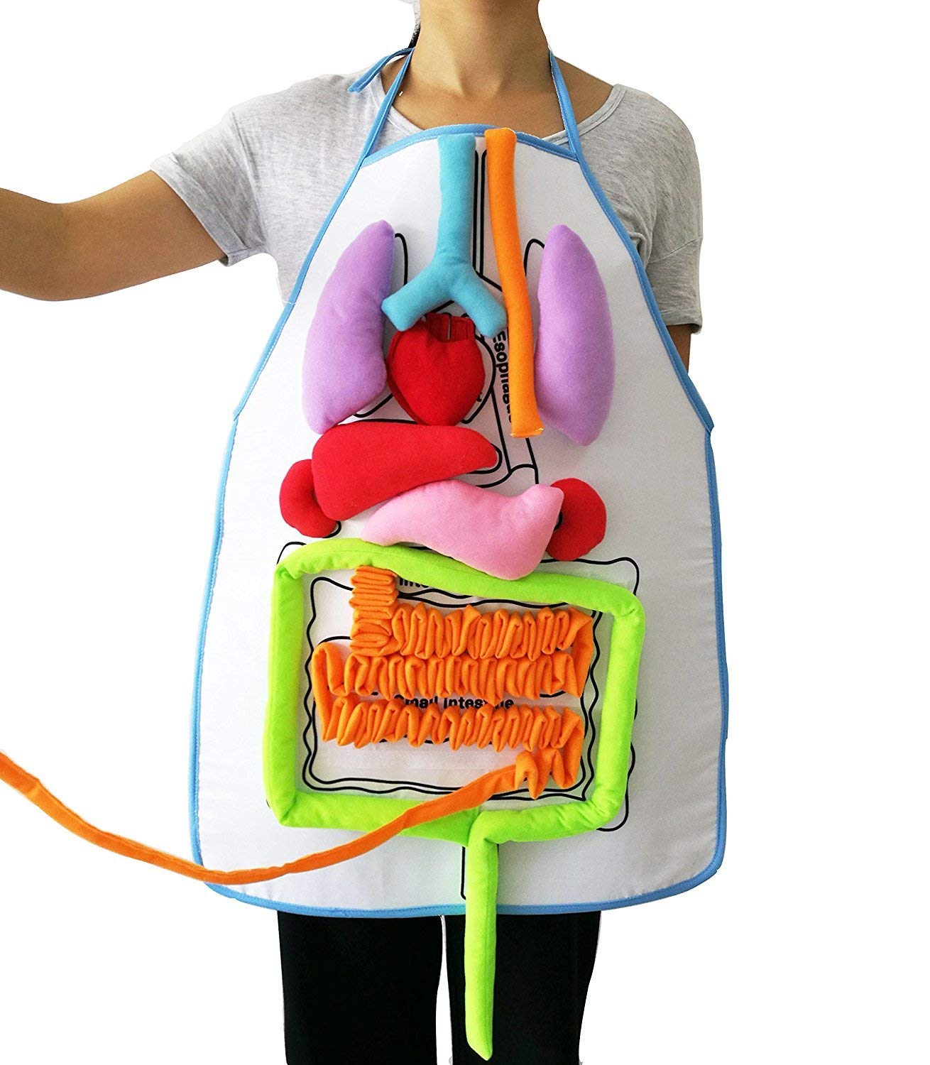 Human Anatomy Organs Apron - What's Inside Me Anatomy Apron