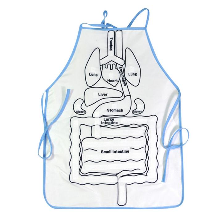 Human Anatomy Organs Apron - What's Inside Me Anatomy Apron