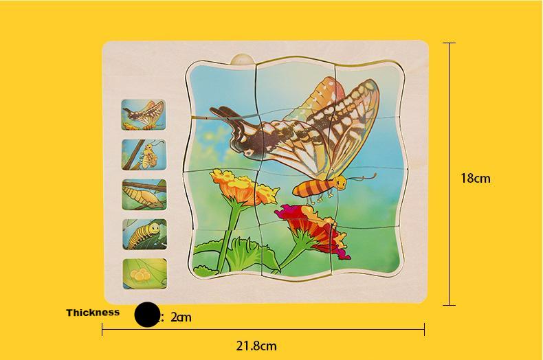 Onshine Multi Layered Butterfly Growth Life Cycle Wooden Puzzle