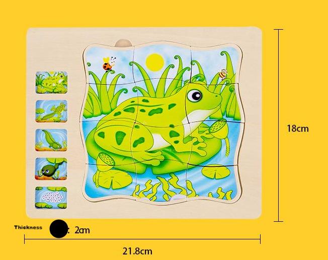 Onshine Multi Layered Frog Growth Process Wooden Puzzle