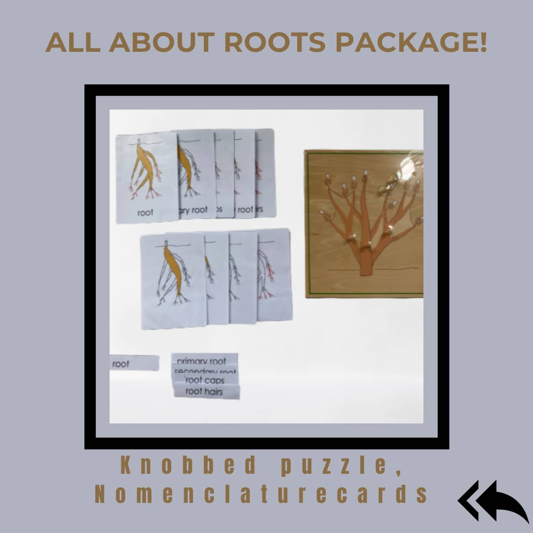 Montessori Elementary - All about ROOTS Package - Knobbed puzzle / 3 part Nomenclature cards