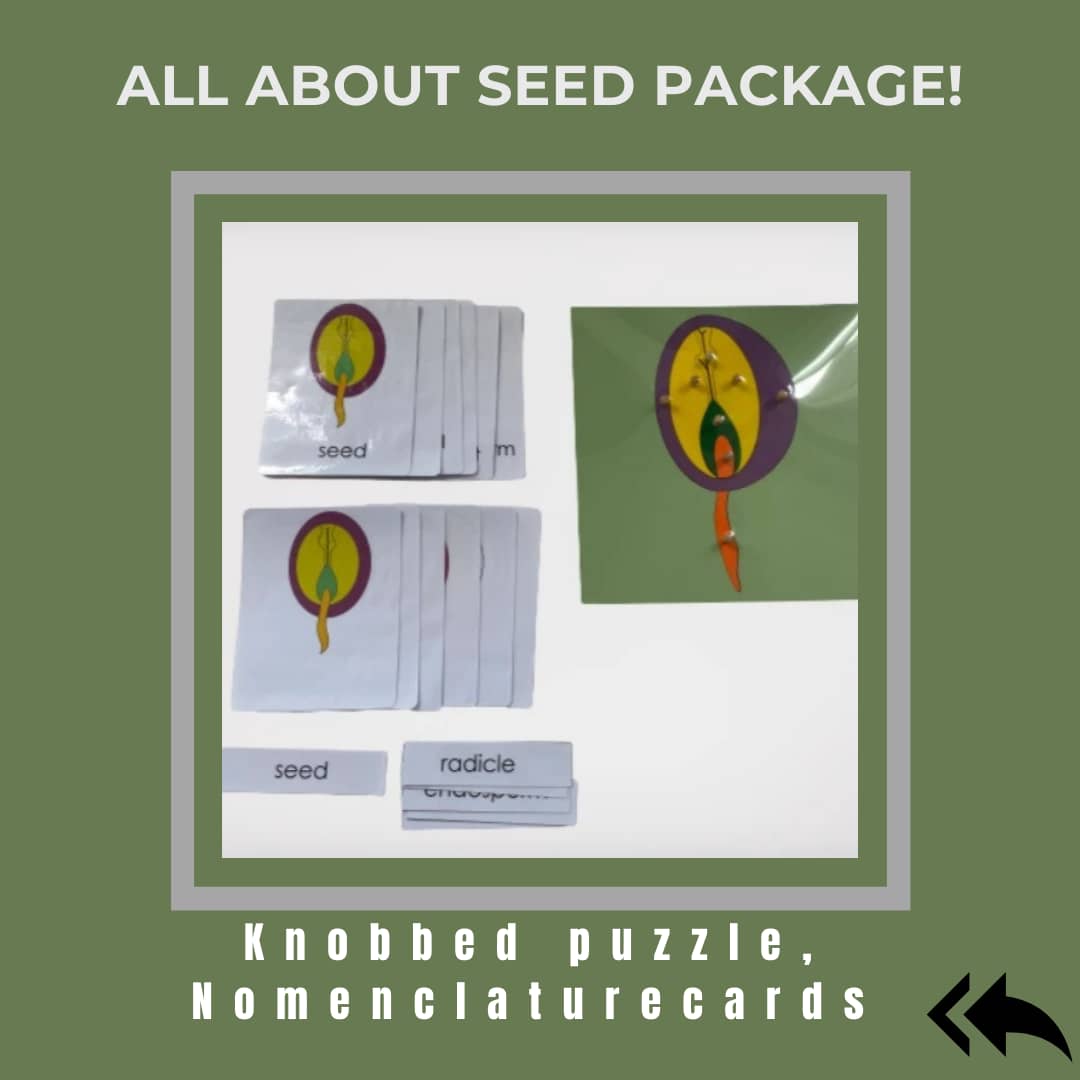 Montessori Elementary - All about SEED Package - Knobbed puzzle / 3 part Nomenclature cards