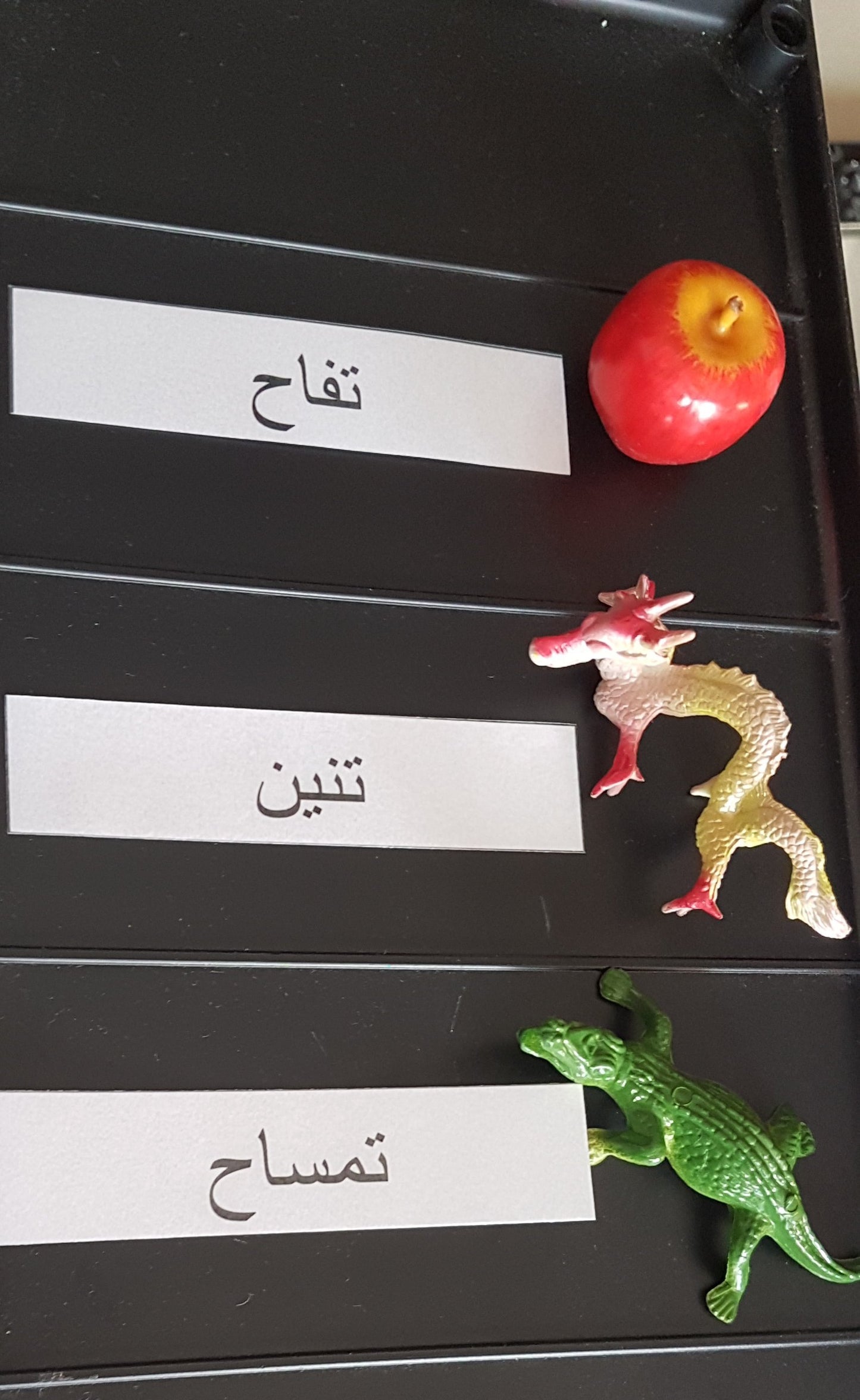 Arabic Beginning Alphabet / Letter Box  Alif - Yaa objects with name tags