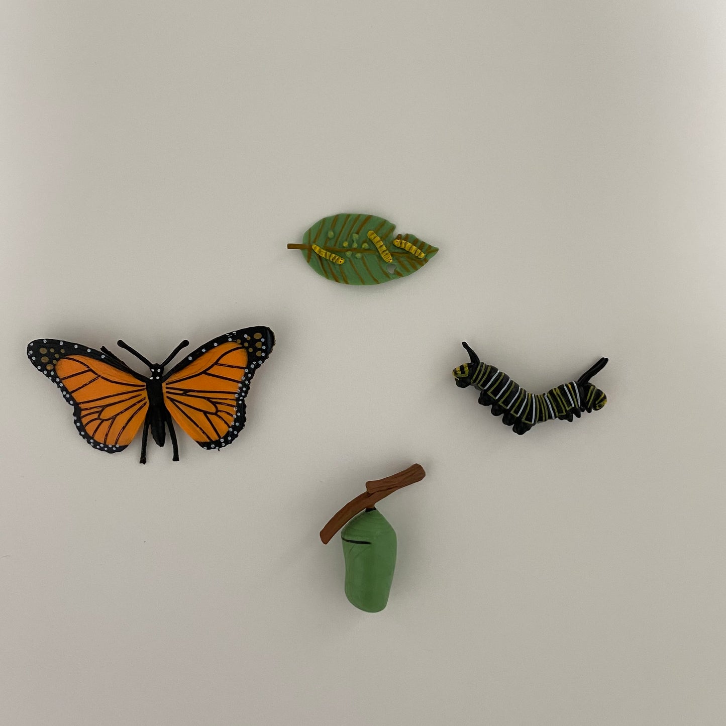 All about Butterfly Package - Life cycle Models /Nomenclature Cards/  4 Part cards/Knobbed puzzle