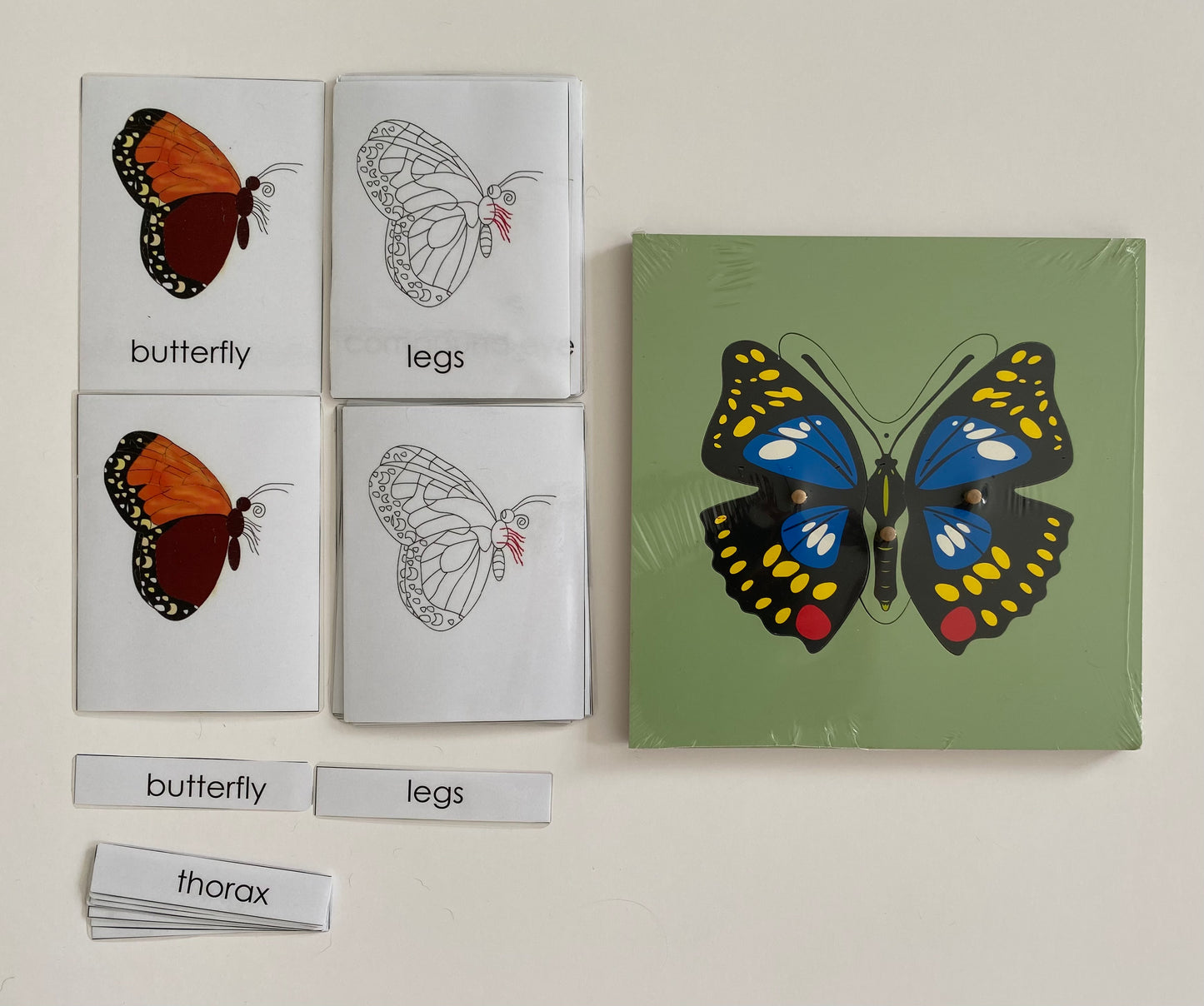 All about Butterfly Package - Life cycle Models /Nomenclature Cards/  4 Part cards/Knobbed puzzle