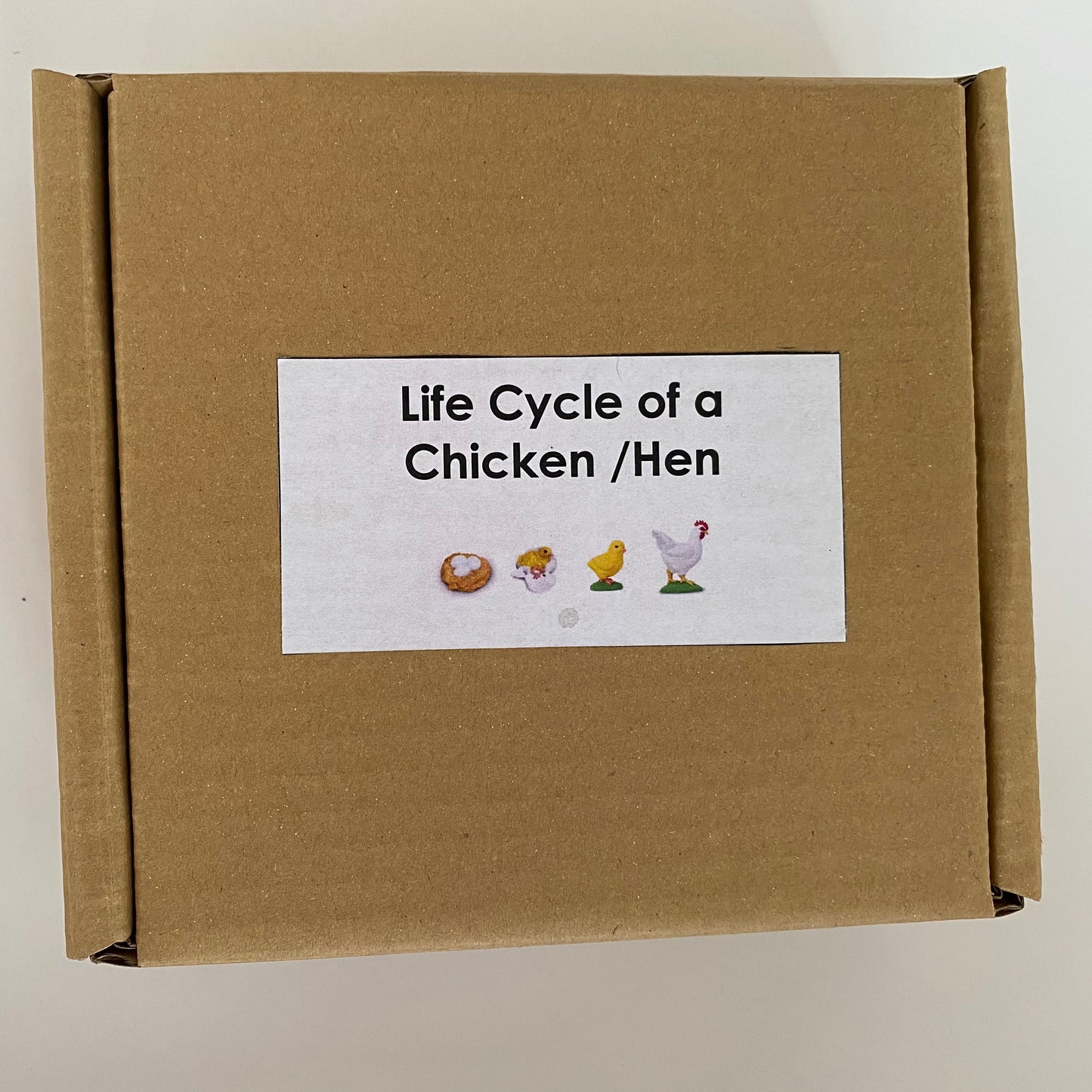 All about CHICKEN/HEN/ROOSTER Package - Life cycle Models / 4 Part cards/Knobbed puzzle