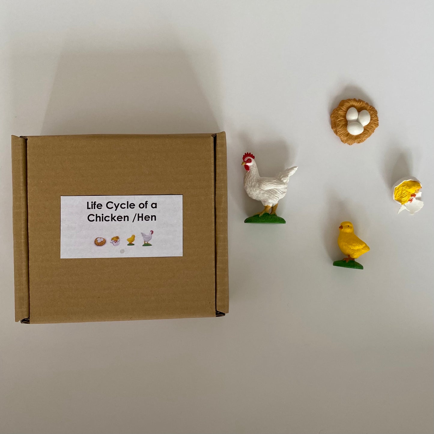 All about CHICKEN/HEN/ROOSTER Package - Life cycle Models / 4 Part cards/Knobbed puzzle