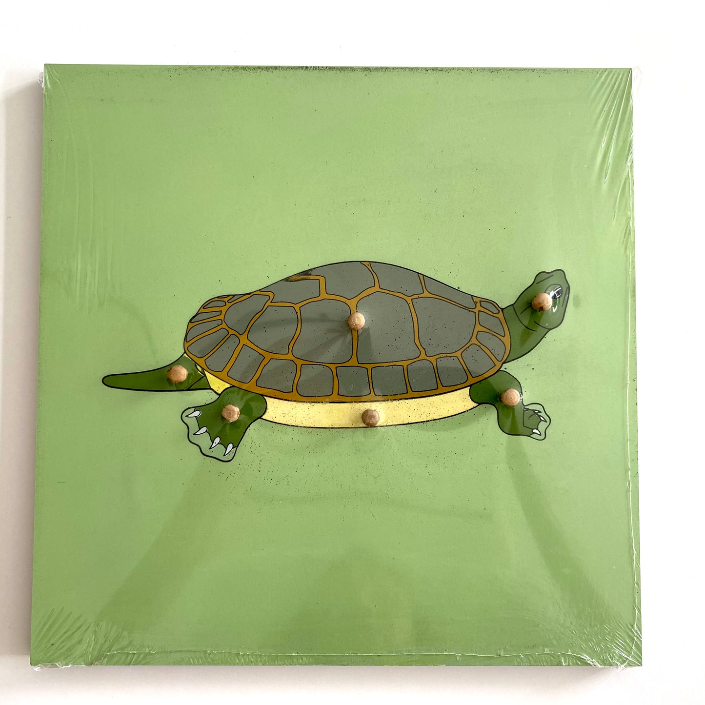 All about TURTLE Package - Life Cycle Models  / Life cycle cards/ /  Knobbed puzzle / 3 part Nomenclature cards