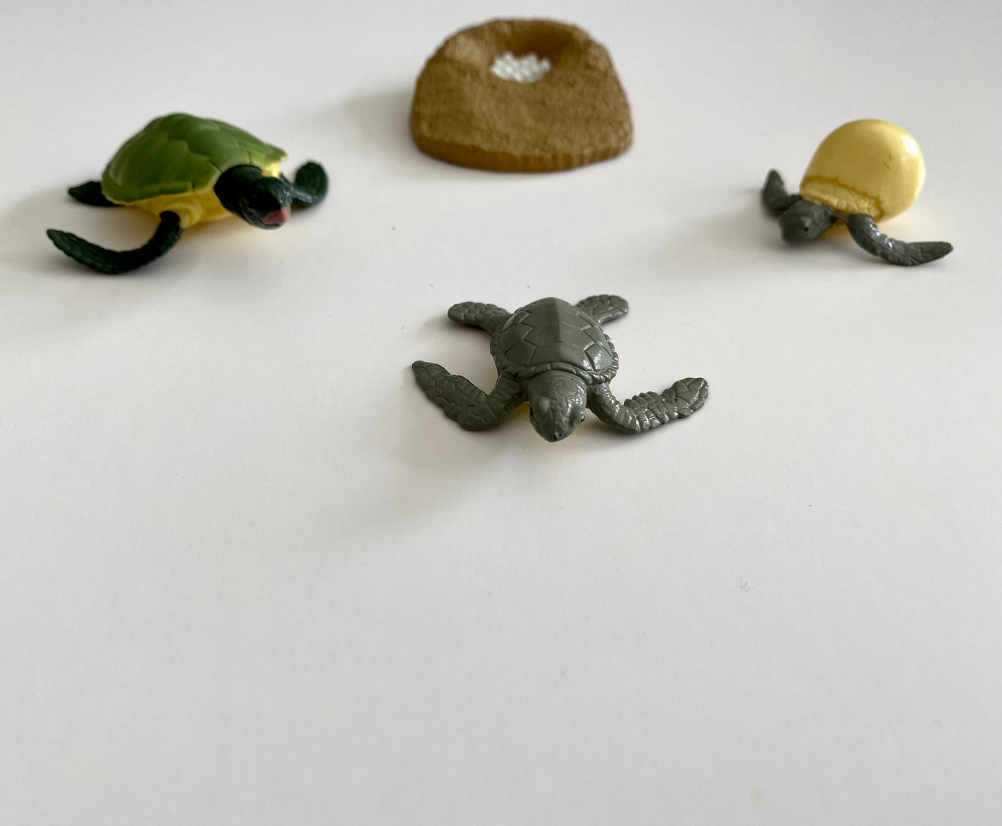 All about TURTLE Package - Life Cycle Models  / Life cycle cards/ /  Knobbed puzzle / 3 part Nomenclature cards