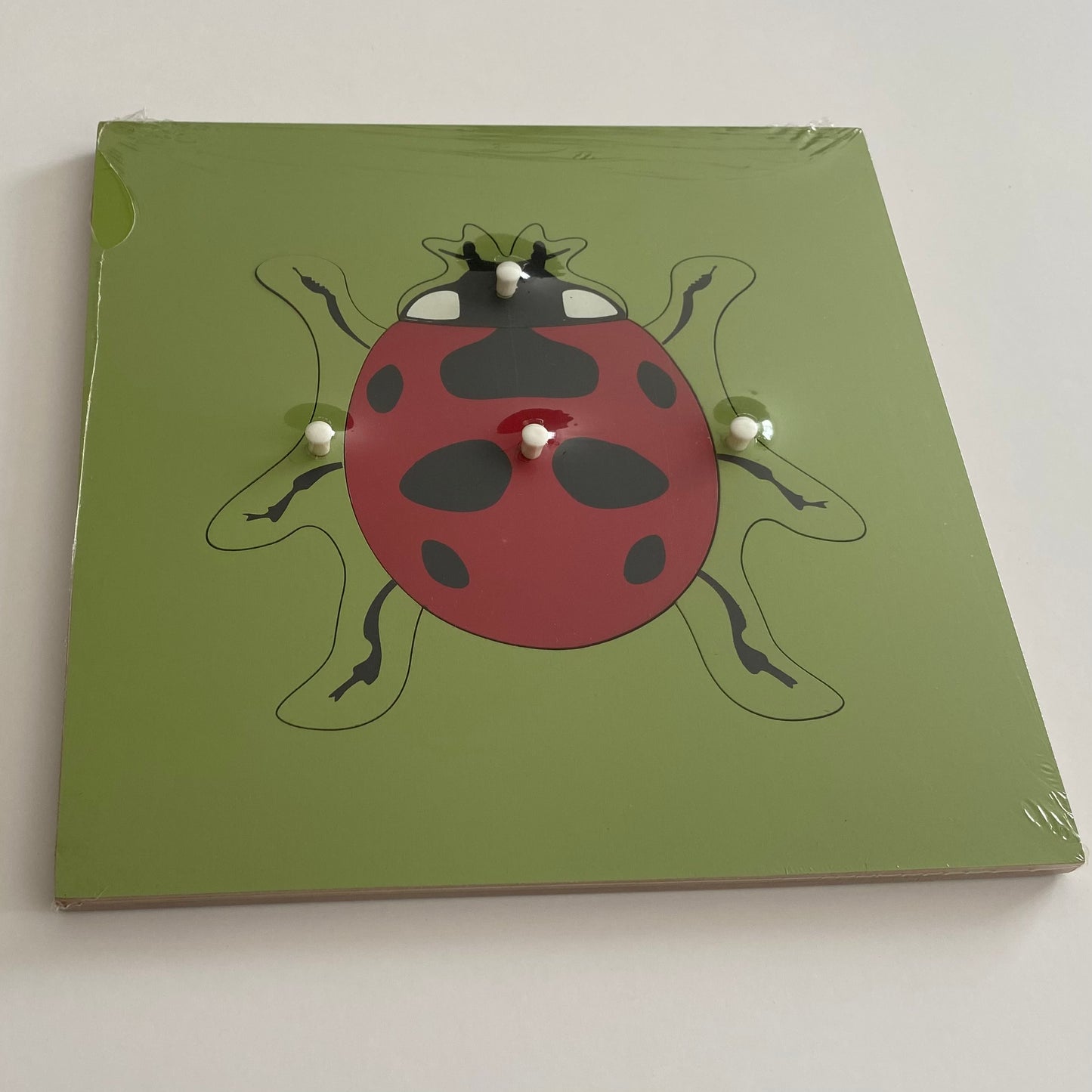 All about LADYBUG Package - Life cycle Models /4 Part cards/Knobbed puzzle/ladybug counters