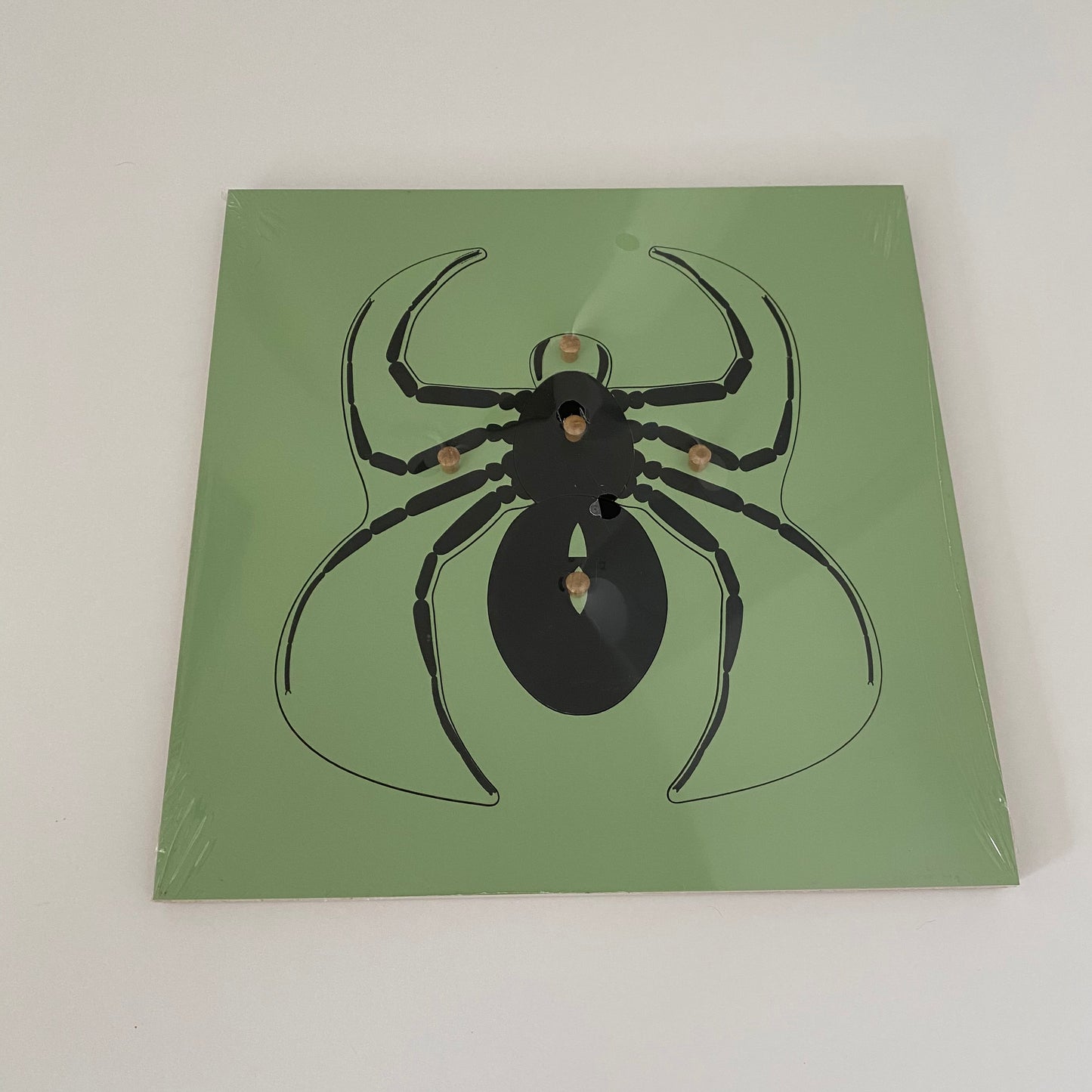 All about Spider Package - Life cycle Models /  4 Part cards/Knobbed puzzle