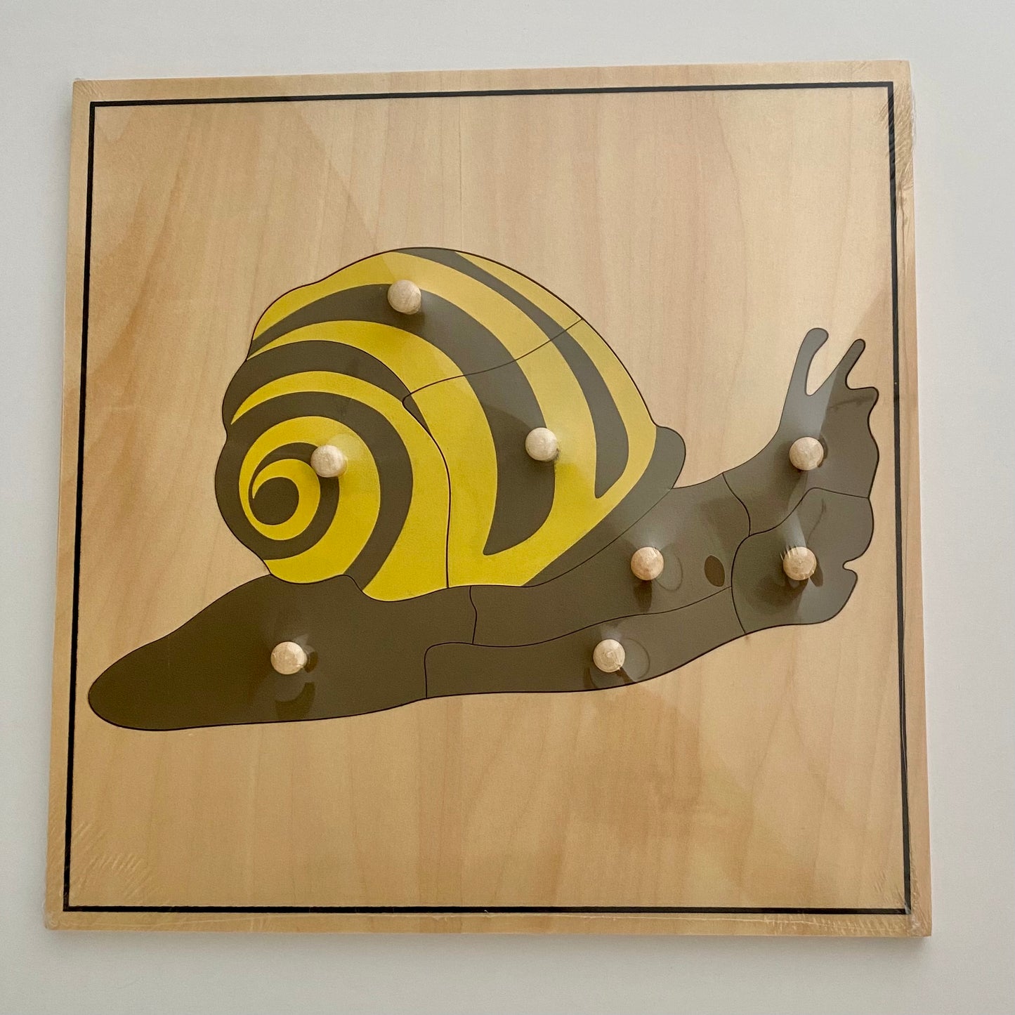 All about SNAIL Package - Life cycle Models /Knobbed puzzle