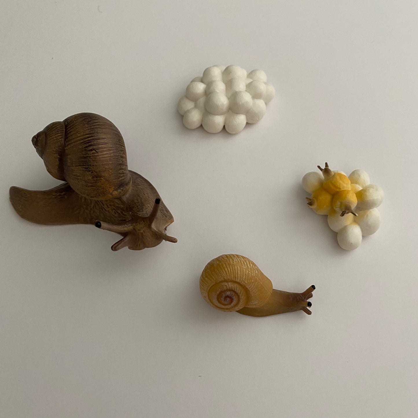 All about SNAIL Package - Life cycle Models /Knobbed puzzle