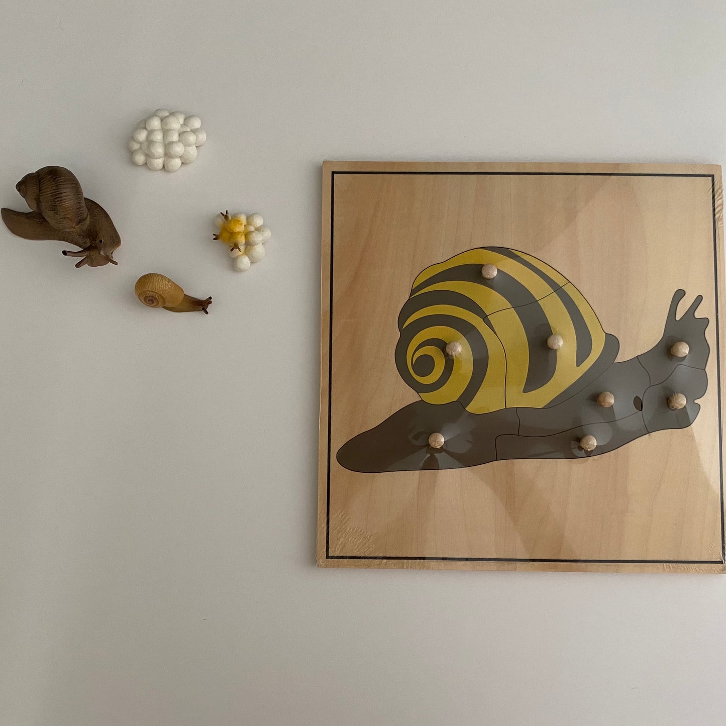 All about SNAIL Package - Life cycle Models /Knobbed puzzle