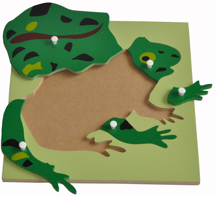 Montessori All about Frogs - Life Cycle Frog Miniature Models/ 4 part cards / Wooden Knobbed Puzzle/ Nomenclature cards