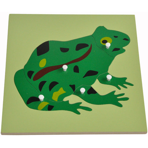 Montessori All about Frogs - Life Cycle Frog Miniature Models/ 4 part cards / Wooden Knobbed Puzzle/ Nomenclature cards