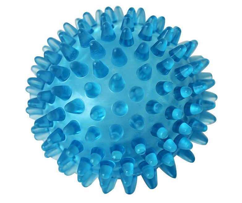 Hard Sensory Tactile Massage Ball