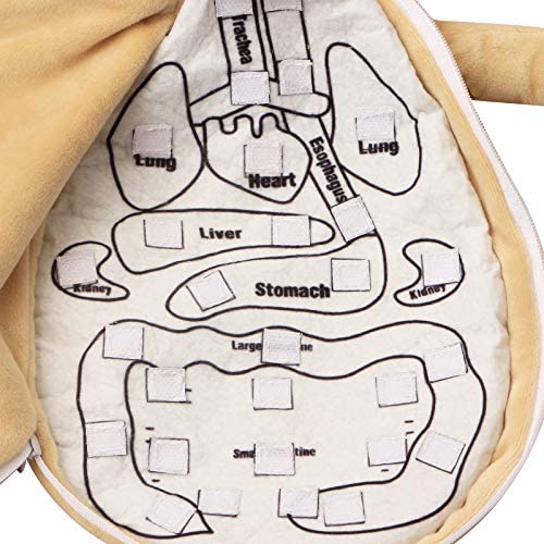 Human Anatomy Organs Doll - What's Inside Me Anatomy Plush Doll- Teaching Tool