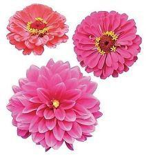 Wallies Decor - 6 large Zinnias Flower  - Wallpaper Cutouts - RightToLearn.com.sg
 - 1