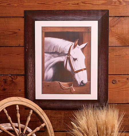 Wallies - Old Dobbin - Horse  - Wall Decor - RightToLearn.com.sg
 - 1