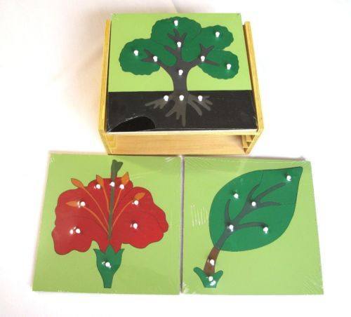 3 Botany Puzzles & Cabinet Rack - RightToLearn.com.sg
 - 1