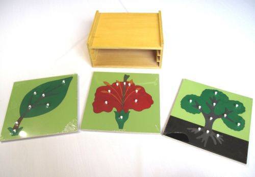 3 Botany Puzzles & Cabinet Rack - RightToLearn.com.sg
 - 2