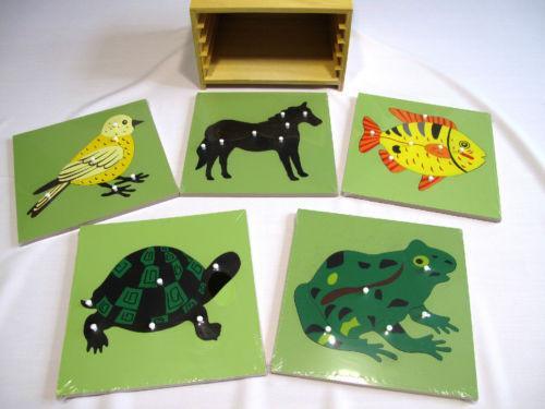 5 Zoology Puzzles & Cabinet - Rack Package - RightToLearn.com.sg
 - 1