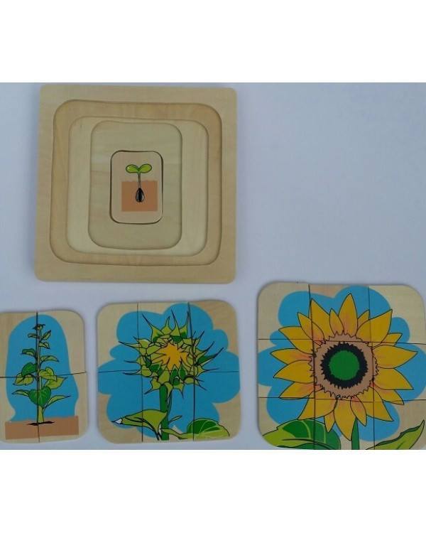 Life Cycle of a Flower - Layer Wooden Puzzle - RightToLearn.com.sg
 - 2