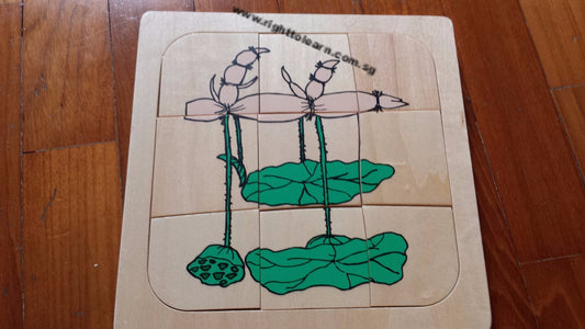 Life Cycle of a Lotus Plant -  Layer Wooden Puzzle - RightToLearn.com.sg
 - 1