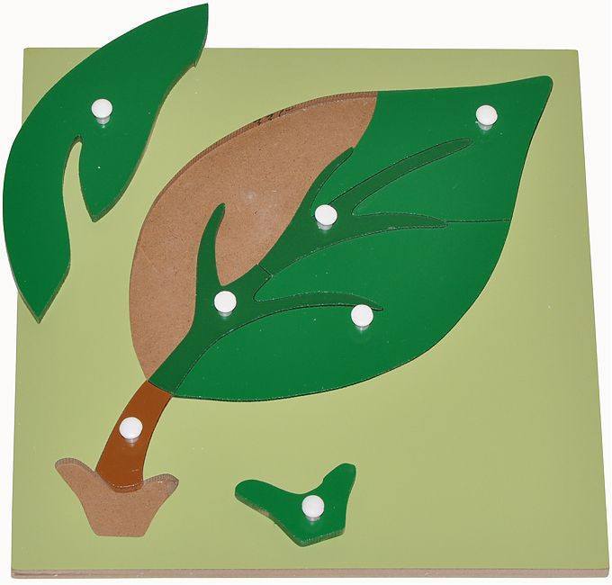 Wooden Knobbed Leaf Puzzle - RightToLearn.com.sg
 - 2