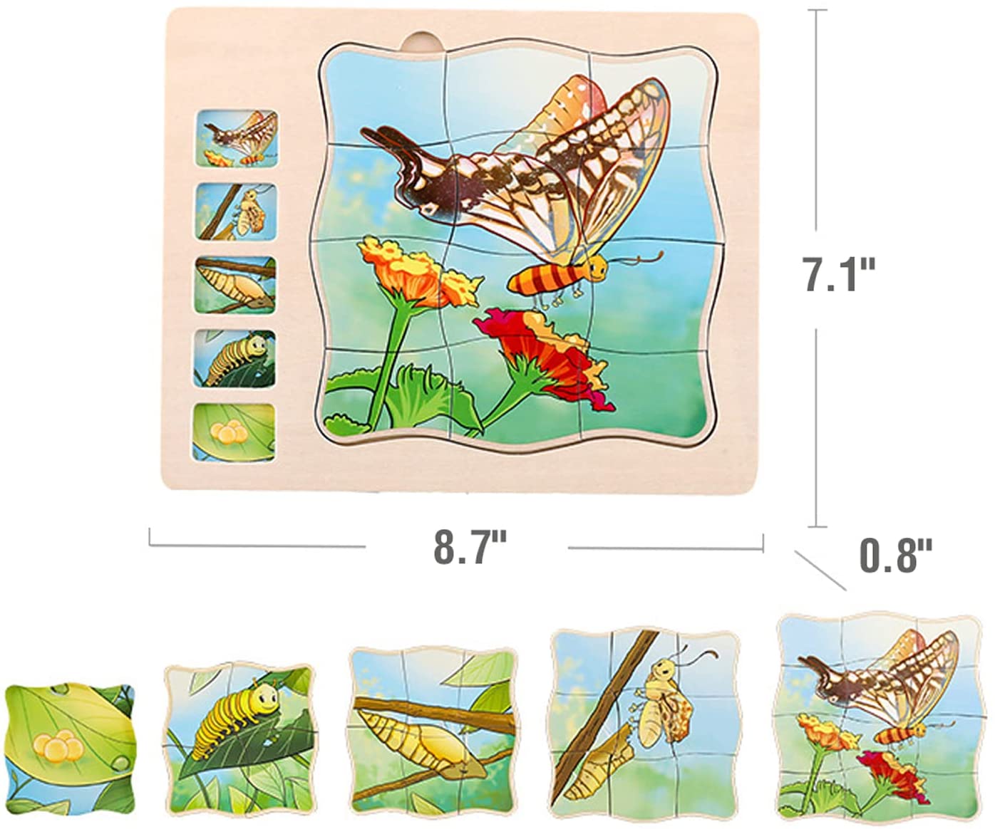 Onshine Multi Layered Butterfly Growth Life Cycle Wooden Puzzle