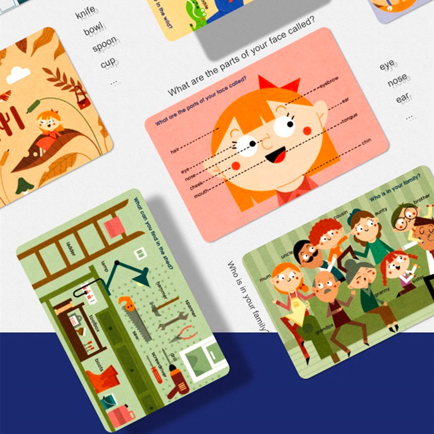 Mideer Educational Cognitive Cards