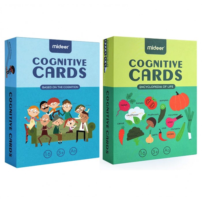 Mideer Educational Cognitive Cards