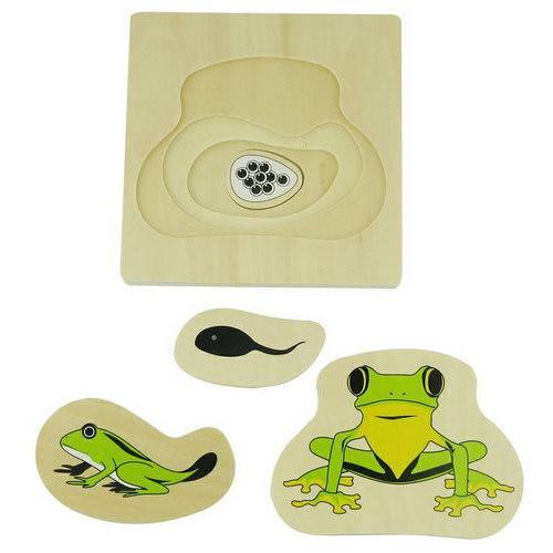 Life Cycle of a Frog - Layer Wooden Puzzle - RightToLearn.com.sg
 - 1