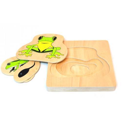 Life Cycle of a Frog - Layer Wooden Puzzle - RightToLearn.com.sg
 - 2