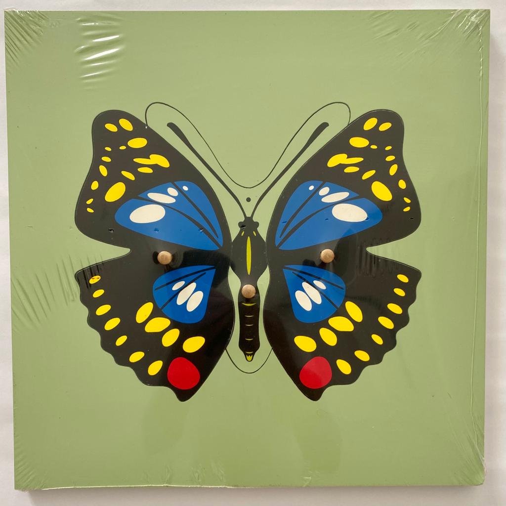 All about Butterfly Package - Life cycle Models /Nomenclature Cards/  4 Part cards/Knobbed puzzle