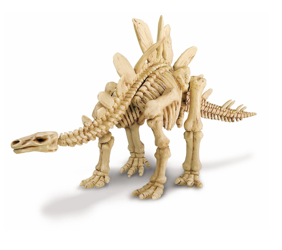 4M - KidzLab - Dig a Stegosaurus Dinosaur Skeleton