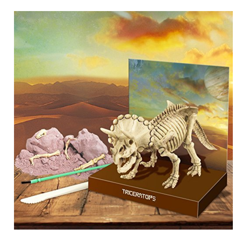 4M - KidzLab - Dig a Triceratops Dinosaur Skeleton