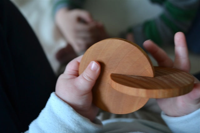 Montessori Interlocking Disc for Infants - RightToLearn.com.sg