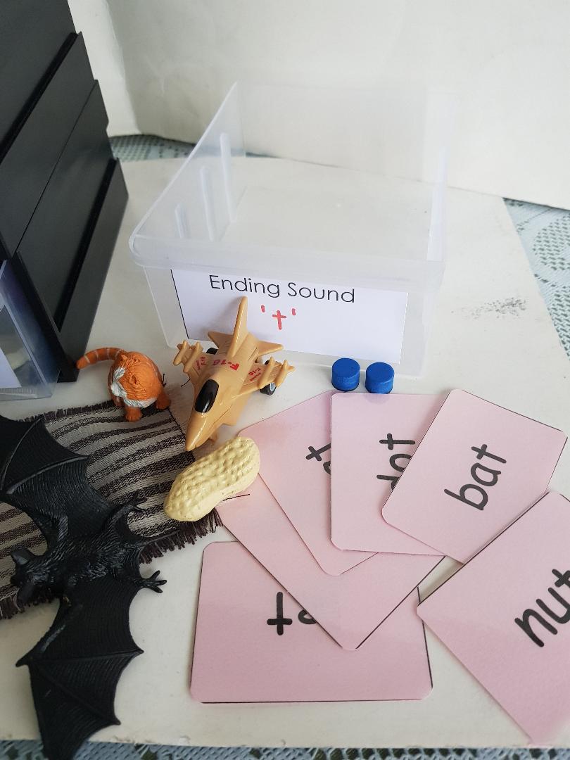 Montessori Pink Scheme - Phonics - Ending Sounds Object Box