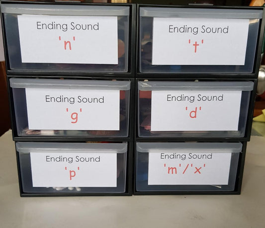 Montessori Pink Scheme - Phonics - Ending Sounds Object Box